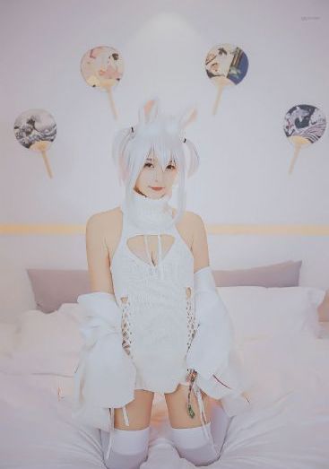 寻宝 综艺