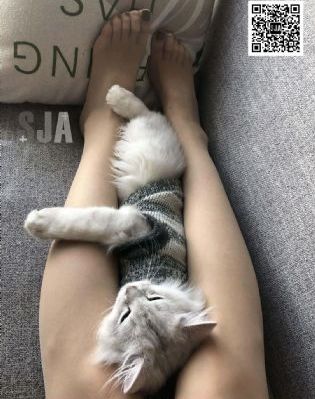 91在线网站
