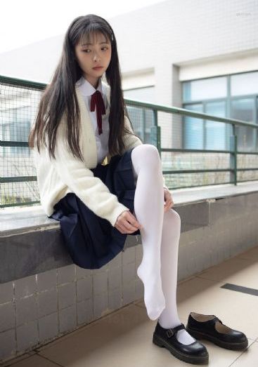 一条狗的使命