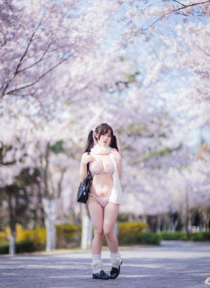 pr九妖狐狸