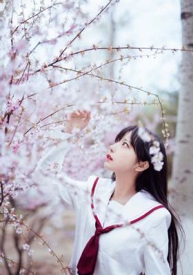 天堂影院在线观看免费